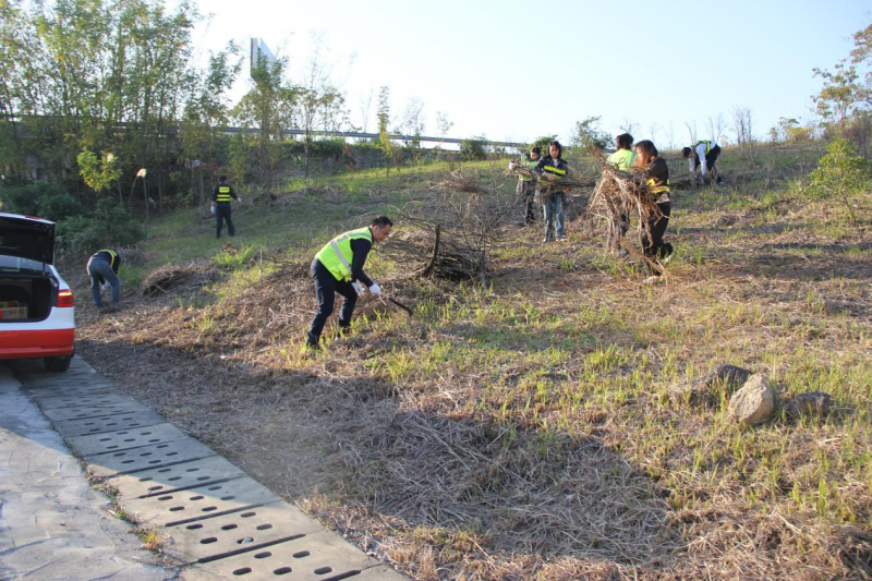 支部党员清理路侧边坡树枝.png
