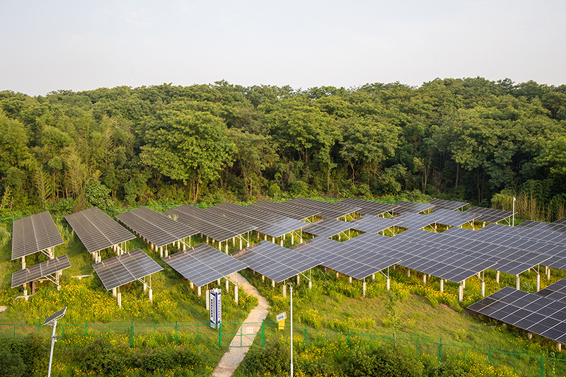 20240614137129.jpg 1.jpg